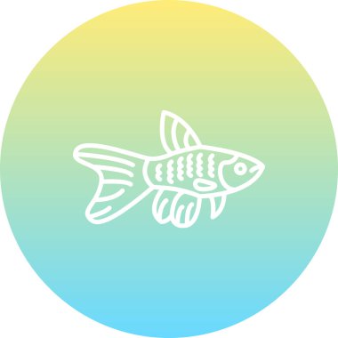 Uzun bir kuyruğu olan tek bir balık yüzüyor.