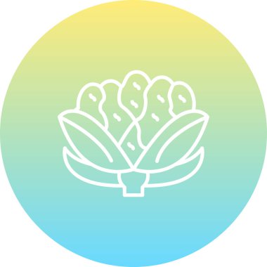 Mutfak uygulamaları veya web sayfaları için organik karnabahar simgesi