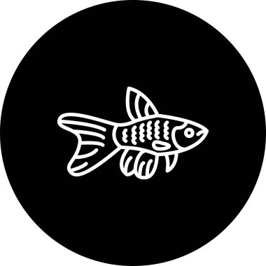 Uzun bir kuyruğu olan tek bir balık yüzüyor.