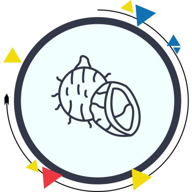 Hindistancevizi Profesyonel Yenilikçi Düz Tasarım Düzeni