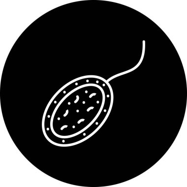 Euglenid Premium Özel Ürün Tasarım Düzeni