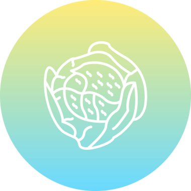 Lahana Ağı simgesinin vektör illüstrasyonu