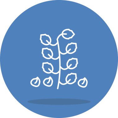 Nohut, Premium Özel Ürün Tasarım Düzenini terk etti