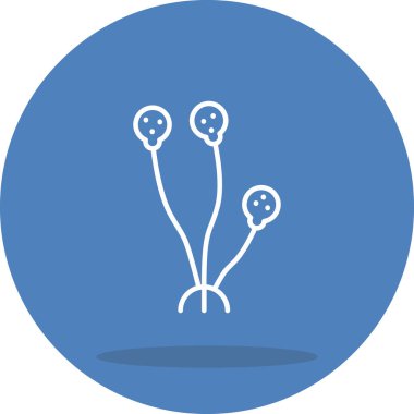 Rhizopus Premium Dengeli Ürün Tasarımı Nesnesi