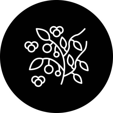 Ökseotu 'nun beyaz çizgisi. Birkaç nonoş çiçek ve yaprak.