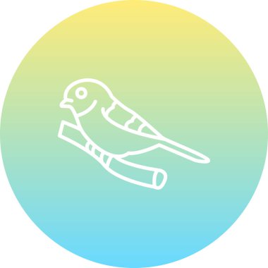 Siyah başlıklı Chickadee simgesi vektör çizimi tasarımı