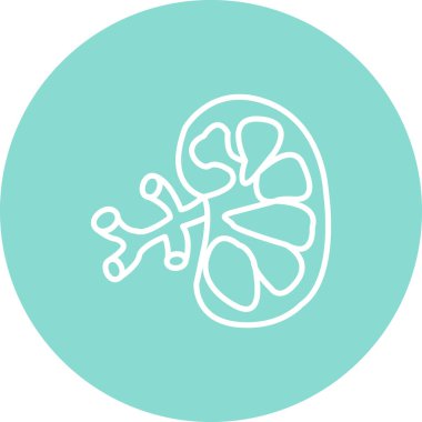 Böbrek Yenilikçi Modern Yaratıcı Grafik Özelliği