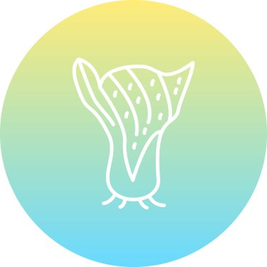 Pak Choi Dinamik Kullanıcı Odaklı Grafik Özelliği