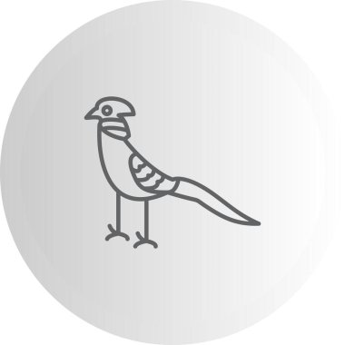 Altın Sülün ikonu vektör illüstrasyon tasarımı