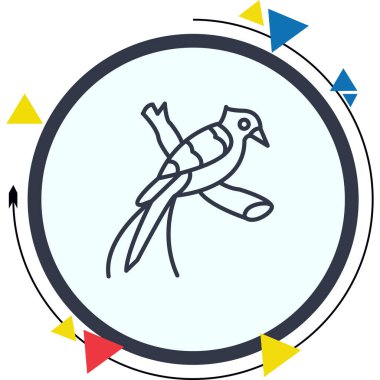 Quetzal Premium Yenilikçi Web Tasarım Varlığı