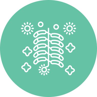 Crackers Dengeli Profesyonel Düz Sanat Düzeni