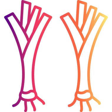 Pırasa Yüksek Çözünürlüklü Vektör Düzeni