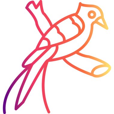 Quetzal Premium Özel Ürün Tasarım Düzeni