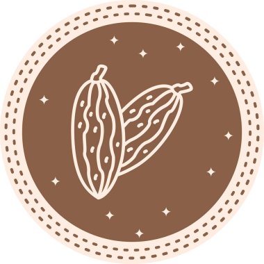 Acı Kabak Premium Fonksiyonel Web Tasarımı Düzeni