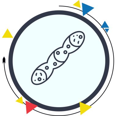 Pleurotaenium Ovatum microalgae basit simgesi