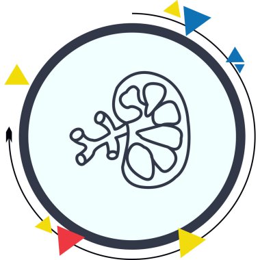 Böbrek web vektör çizimi