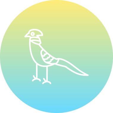 Altın Sülün ikonu vektör illüstrasyon tasarımı