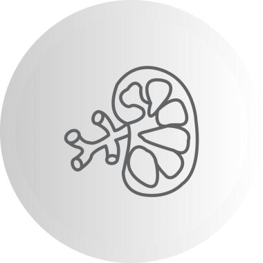 Böbrek Yüksek Çözünürlüklü Dinamik Tasarım Düzeni