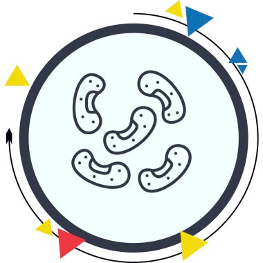 Beans Yüksek Çözünürlüklü Dinamik Tasarım Düzeni