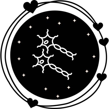 Nöron Premium Fonksiyonel Web Tasarımı Düzeni