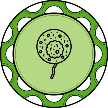 Noctilucale Dinamik Web Sanat Düzenlemesi