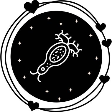 Rotifer Premium Özel Ürün Tasarımı Düzeni