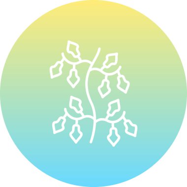 Kachnar Gelişmiş Yaratıcı Arayüz Grafik ŞekliName