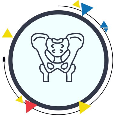 İnsan leğen kemiğinin basit ana hatları