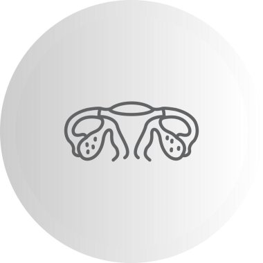 İnsan böbreğinin basit bir taslağı.