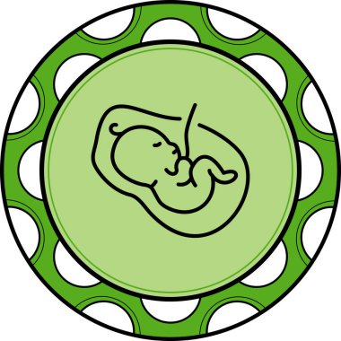 Plasenta Zarif Minimum Dijital Tasarım Zarif Asgari Dijital Tasarım Özelliği