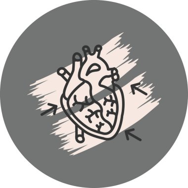 Beyaz arka planda karıncığını gösteren küçük okları olan insan kalbi..