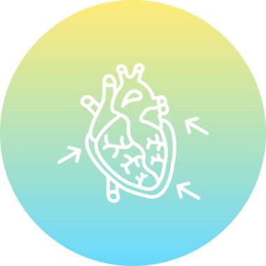 Beyaz arka planda karıncığını gösteren küçük okları olan insan kalbi..