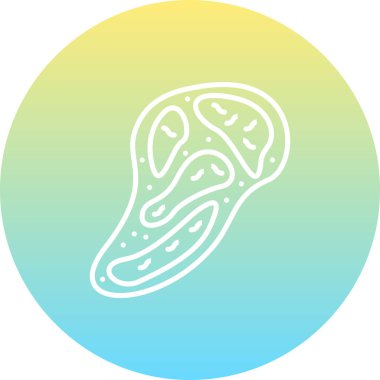 vector illustration of Steak food icon