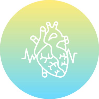 Kalp Anatomisi Premium Temiz Dijital Sanat Düzeni