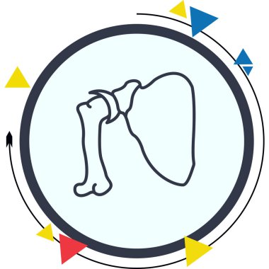 Scapula kemik simgesi, basit düz çizim