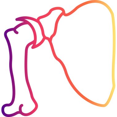 Scapula kemik simgesi, basit düz çizim