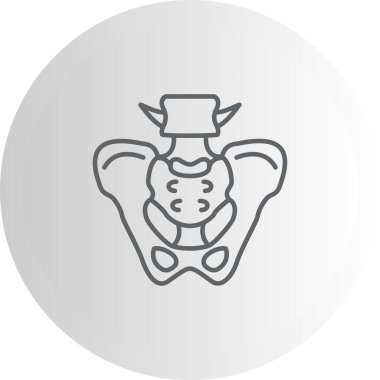 Pelvis Premium Fonksiyonel Web Tasarımı Düzeni