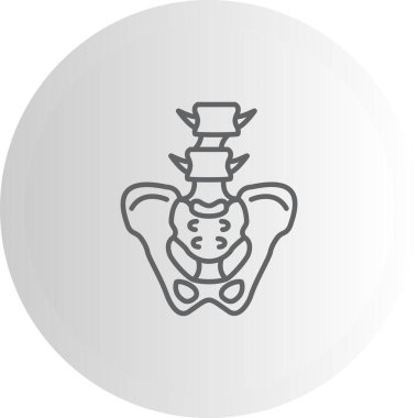 İnsan leğen kemiği yapısının basit ana hatları