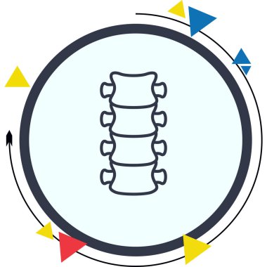 Omurga Premium Fonksiyonel Web Tasarımı Düzeni