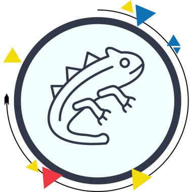 Bukalemun Profesyonel Temiz Düz Grafik Özelliği