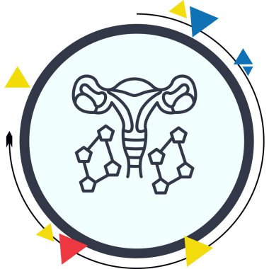 Kadın Hormonları Profesyonel Temiz Kullanıcı Arayüzü Elementi