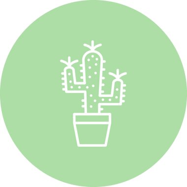 Kaktüs Yüksek Çözünürlüklü Dinamik Tasarım Düzeni