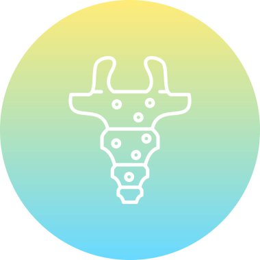 Coccyx Yüksek Çözünürlüklü Dinamik Tasarım Düzeni