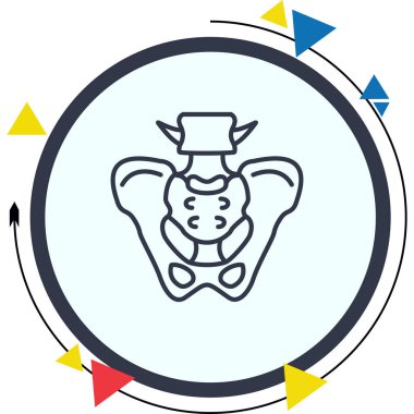 Pelvis Profesyonel Eşsiz Kullanıcı Arayüzü Düzeni