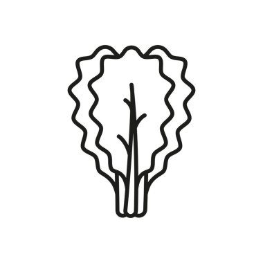 Kale simgesi taze yapraklı sebzeleri temsil ediyor, sağlığı, beslenmeyi ve organik yaşam tarzını sembolize ediyor..