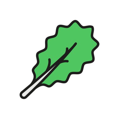 Kale simgesi taze yapraklı sebzeleri temsil ediyor, sağlığı, beslenmeyi ve organik yaşam tarzını sembolize ediyor..