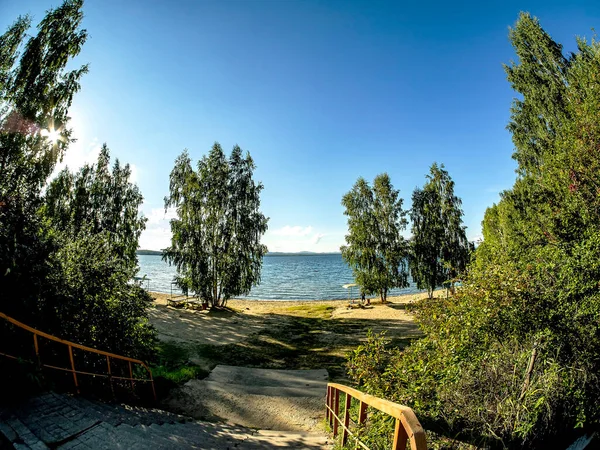 Hohe Birken Ufer Des Von Der Sonne Erleuchteten Sees See — Stockfoto