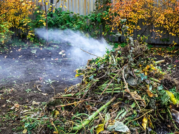 Brûler Vieux Sommets Verts Dans Jardin Automne Fumée Vient Feu — Photo