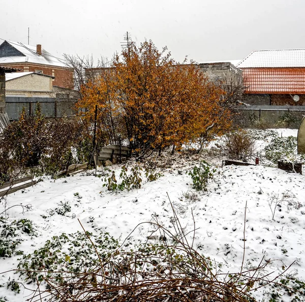 View of the garden with snow falling in late autumn — Stock Photo, Image