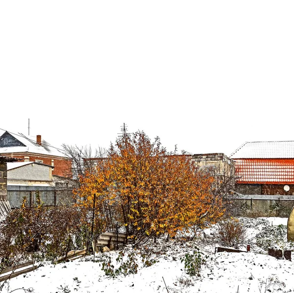 Vue sur le jardin avec chute de neige à la fin de l'automne — Photo